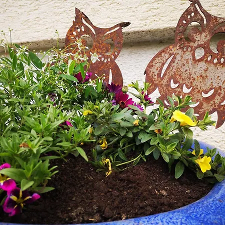 Klein Aber Fein Apartament *