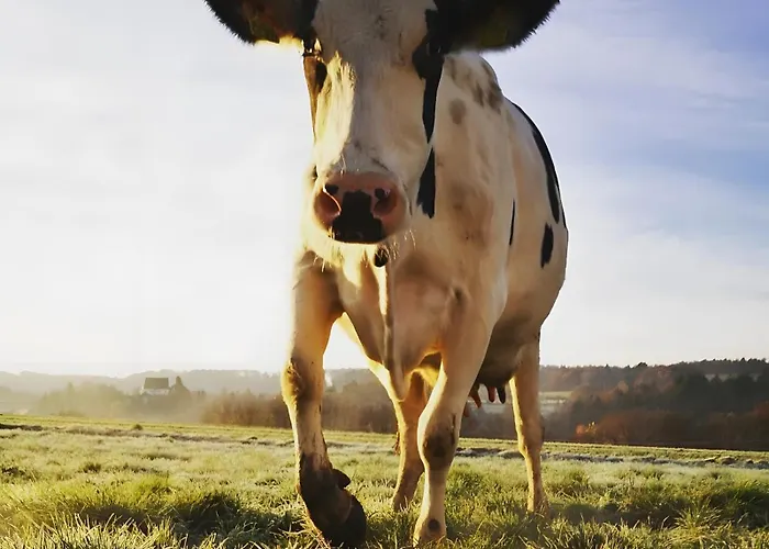 Klein Aber Fein Appartement *